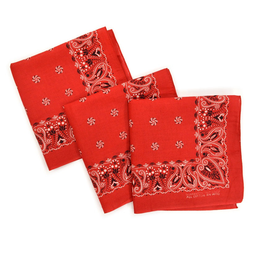 DEADSTOCK WAMCRAFT BANDANA RED PAISLEY ... Set of 3