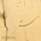1950's~ OLD SPLIT LEATHER SUEDE HUNTING VEST / UNUSUAL POCKETS...