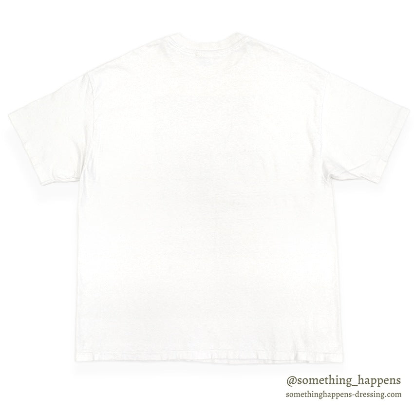 1990's HANES エドガー・ドガ リハーサル中の踊り子 ART T-SHIRT ... XL