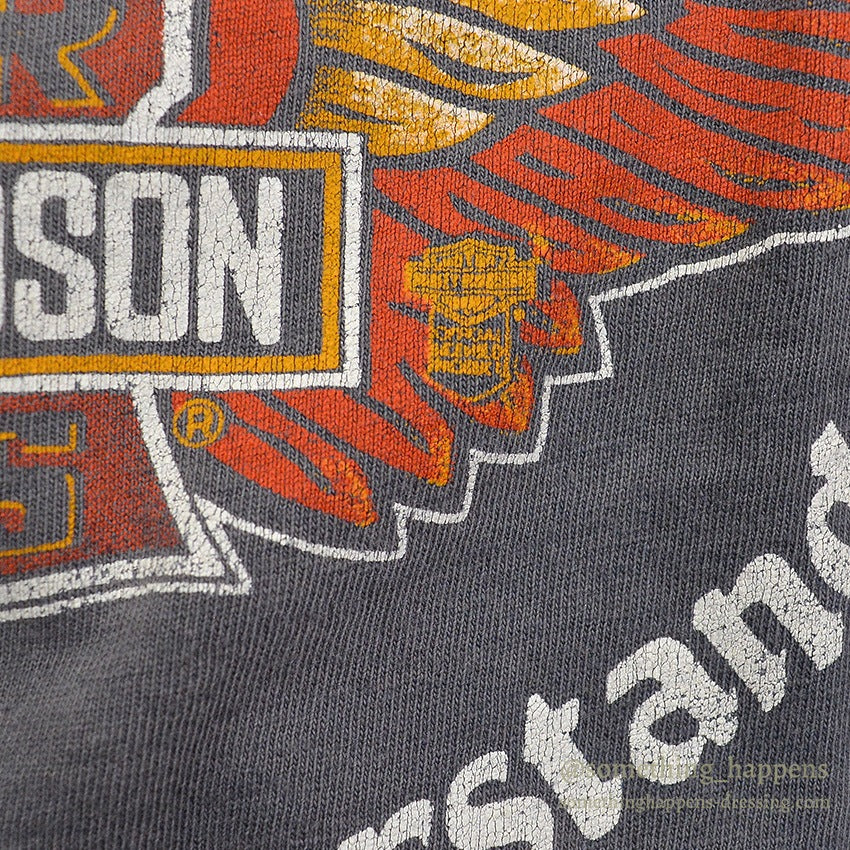 1980's HANES HARLEY-DAVIDSON FADED BLACK T-SHIRT ... L