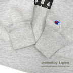 1980's CHAMPION UNIVERSITY WISCONSIN OSHKOSH REVERSE WEAVE SWEAT SHIRT ... L