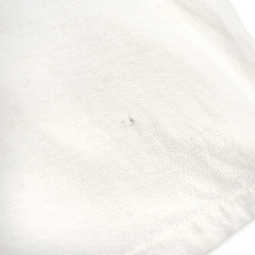 1990's Hanes BEEFY-T BOTANICAL ART T-SHIRT... L