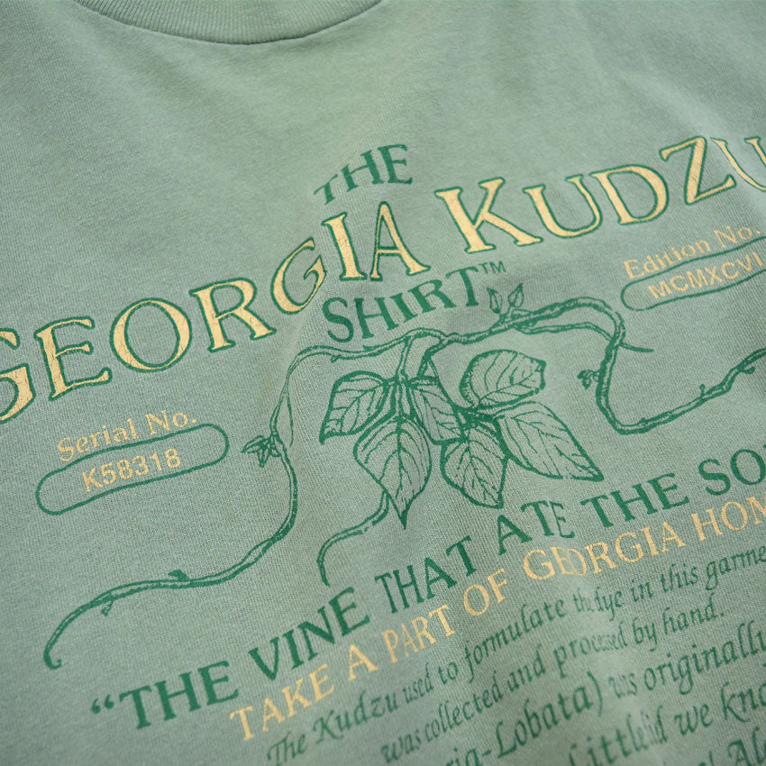 1990s ONEITA Kudzu T-SHIRT (The plant that covers the house) ... L