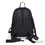 1990's~ THE NORTH FACE BACK PACK...