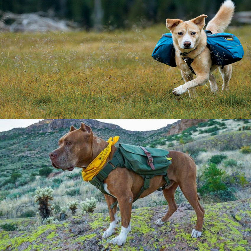 1990's~ DEADSTOCK PLANET DOG SALES FOR LLBEAN RIDGELINE DOG PACK...