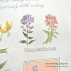 1990's REL-E-VANT PRODUCTS BOTANICAL ART PRINT T-SHIRT ... M