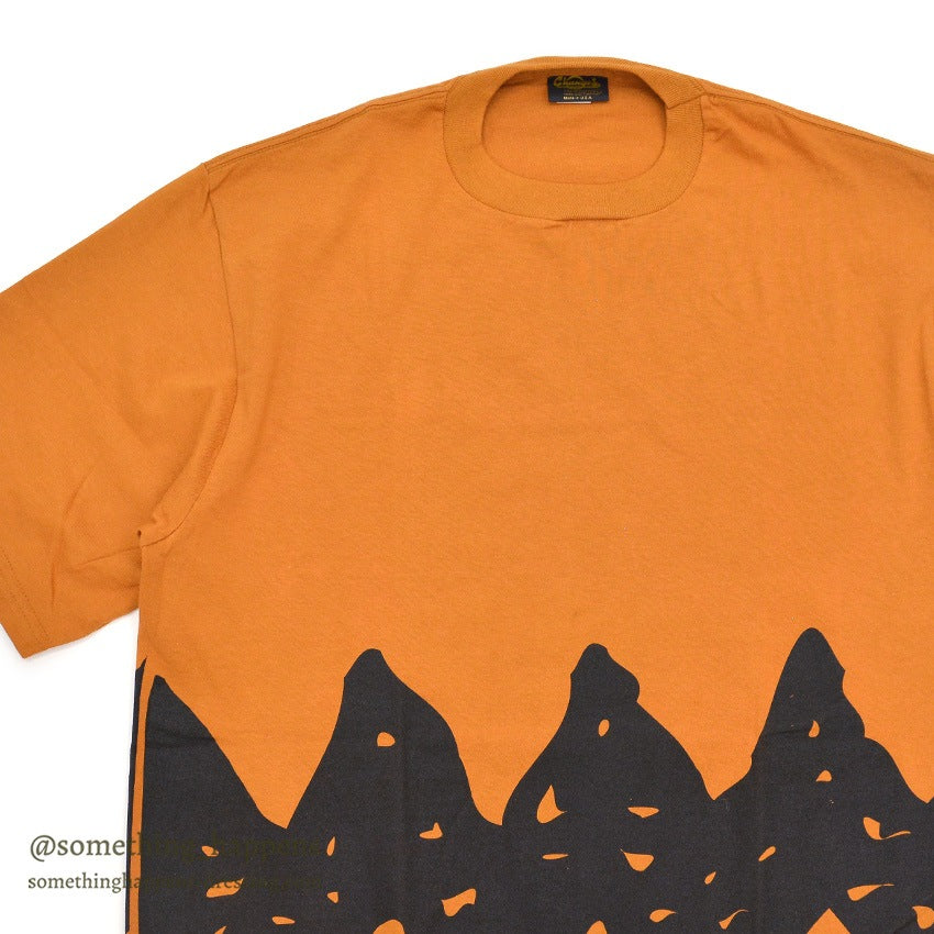 1990's DEADSTOCK CHANGES PEANUTS CHARLIE BROWN T-SHIRT ... XL