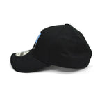 Goodwill (a thrift store) NEW ERA cap... Unused