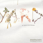1990's FAMOUS SPORTSWEAR MARTHAS VINEYARD BOTANICAL T-SHIRT... M