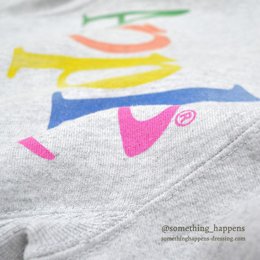 1980's~ HANES THE APPLE COLLECTION SWEAT SHIRT TYPE REVERSE WEAVE ... L