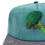 1990's BROCCOLI TWO TONE CAP...