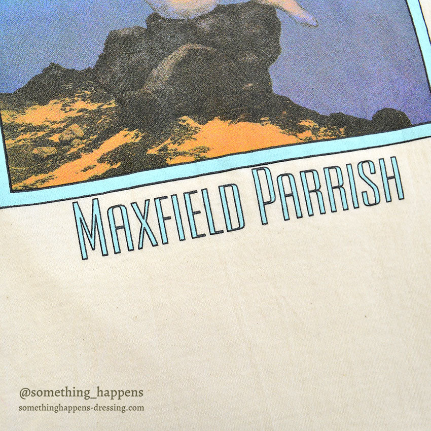 1990's DEADSTOCK WILDWOOD PRODUCTIONS MAXFIELD PARRISH T-SHIRT ... XL