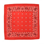 DEADSTOCK WAMCRAFT BANDANA RED PAISLEY ... Set of 3