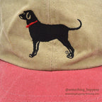 1990's BLACK DOG BRAND DOG EMBROIDERY TWO TONE CAP...