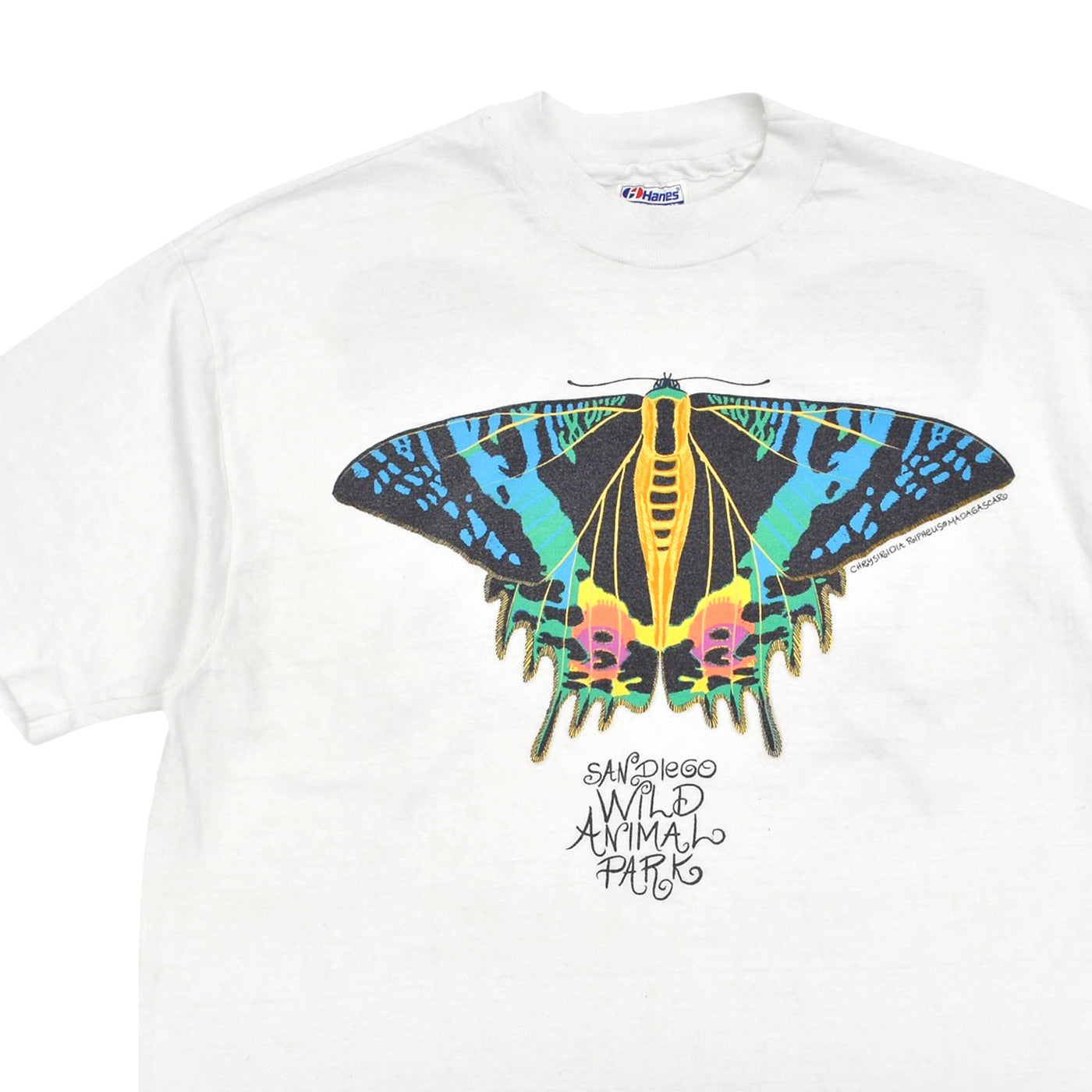 1990's HANES Sunset Moth Artwork T-shirt ... L
