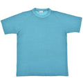 1960's~ MUNSINGWEAR TURQUOISE JERSEY KNIT T-SHIRT ... L