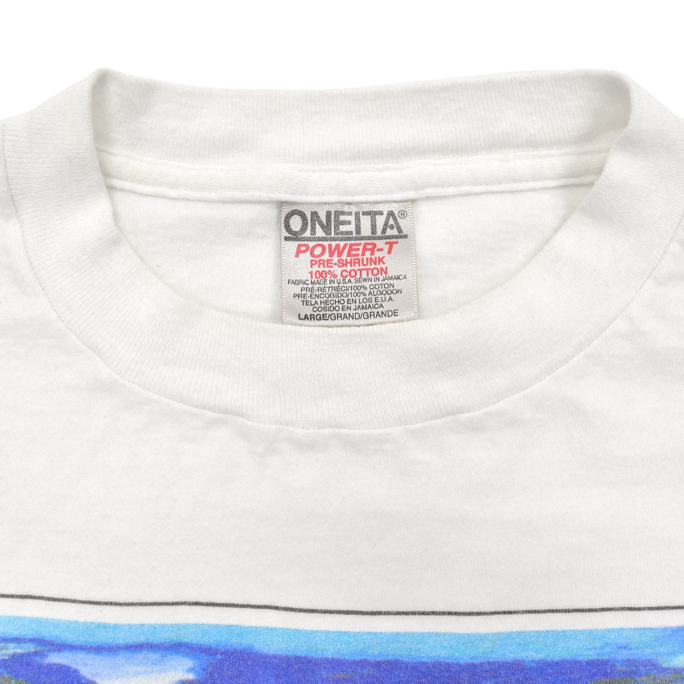 1990s ONEITA THE EARTH FROM SPACE T-SHIRT ... L